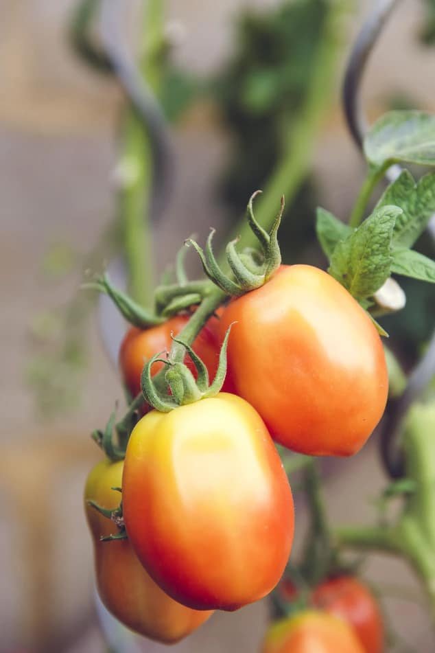 About farming04 free img